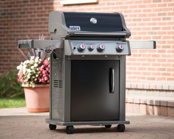 Gas Grill Rental